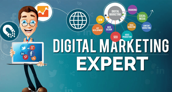 digital marketing expert